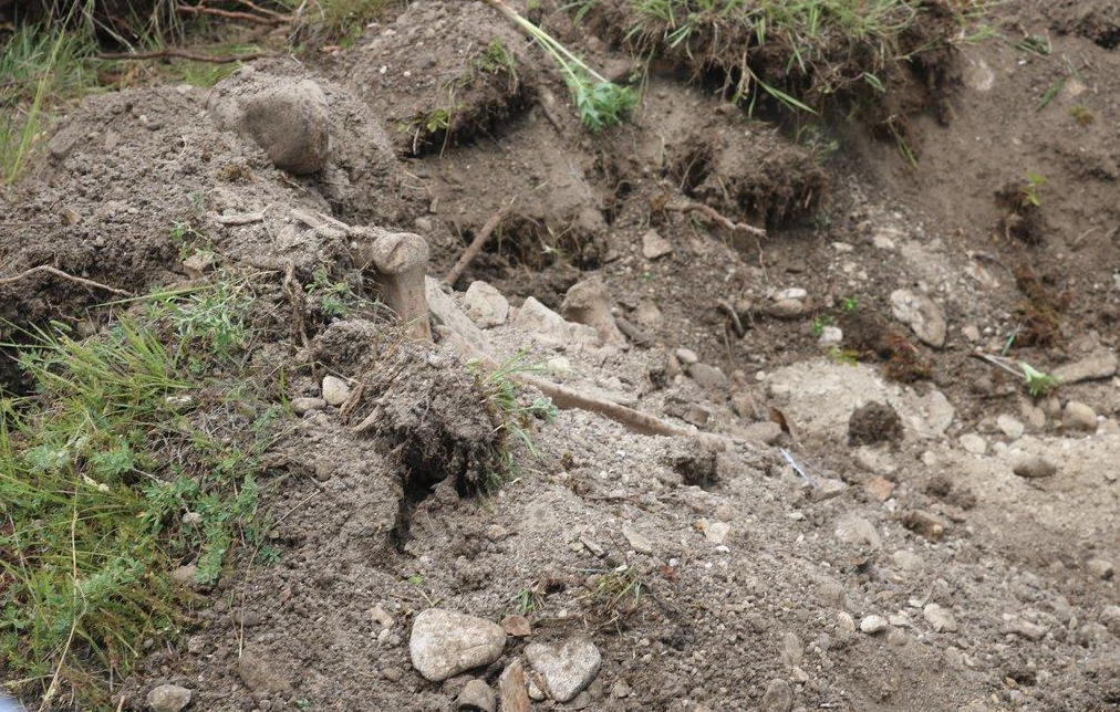 В Южной Осетии нашли человеческие останки 90-х годов захоронения