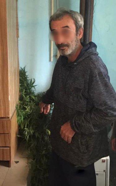 В Северной Осетии служебная собака Бони помогла полицейским обнаружить тайник с марихуаной в крупном размере