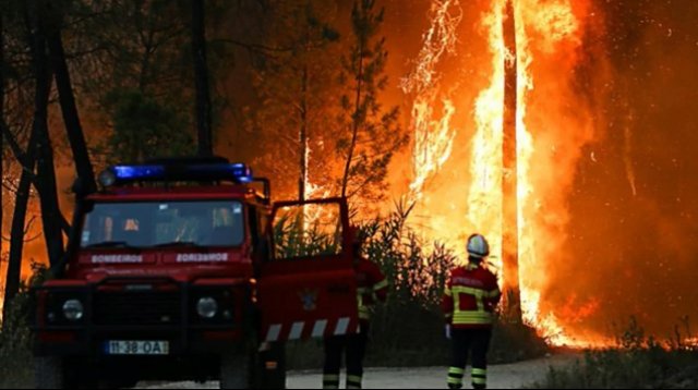 В Европе наступили аномальная жара и засуха, что привело к пожарам