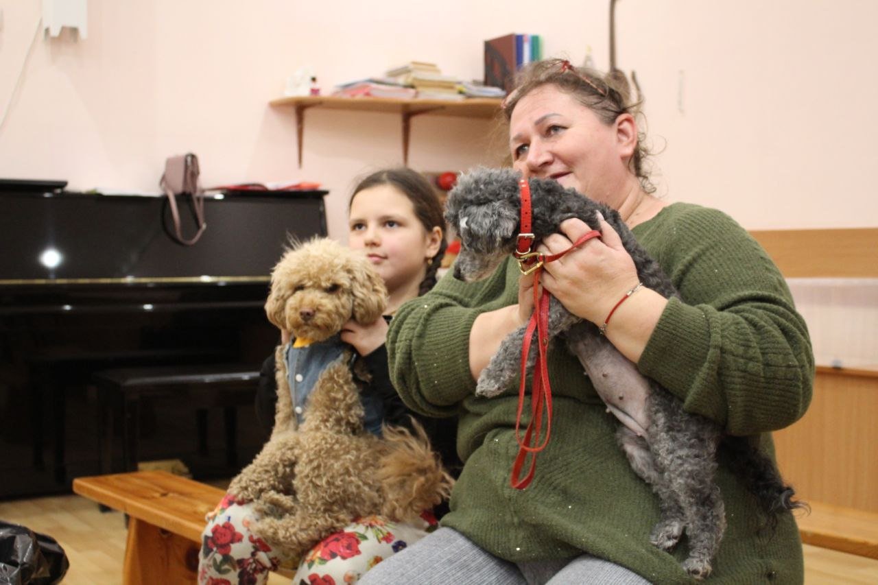 Детский сад во Владикавказе помог семье Мрыковых, спасающей бездомных животных